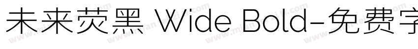未来荧黑 Wide Bold字体转换